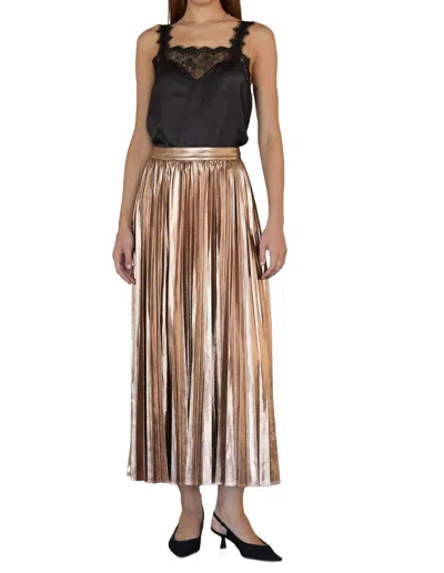 Skies Are Blue Metallic Pleated Maxi Skirt In Bronze In Gold