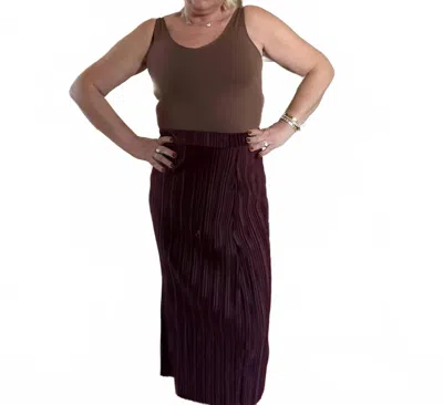 Skies Are Blue Michelle Made Me Do It Skirt In Chocolate In Gold