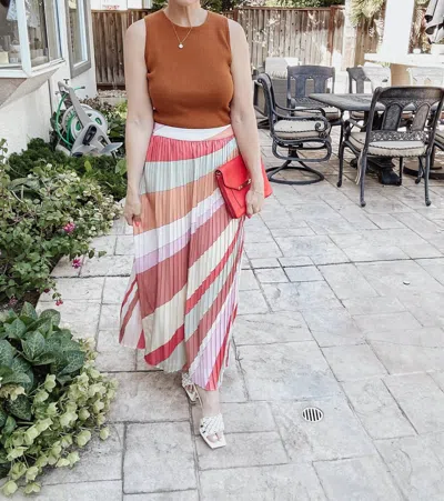 Skies Are Blue Pleated Midi Skirt In Multi Stripe