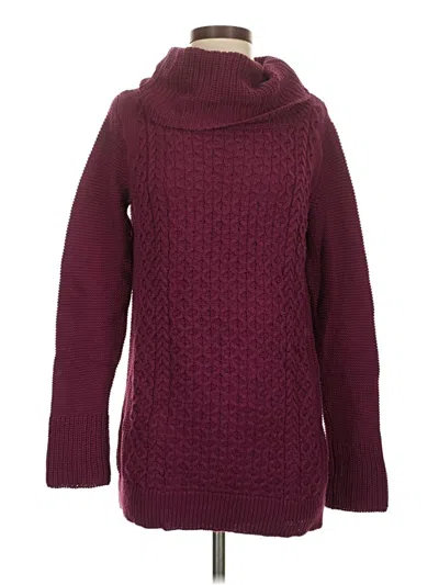 Pre-owned Skies Are Blue Turtleneck Sweater In Burgundy