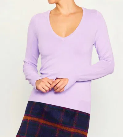 Skies Are Blue V-neck Beauty Spring Sweater In Lavender