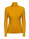 Skills-genes Skills & Genes Fitted Ribbed Sweater In Arancione