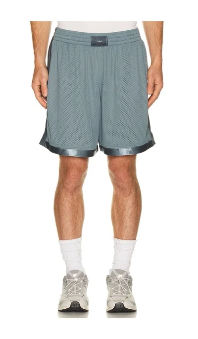 Skims Basketball 5 Short In Gray