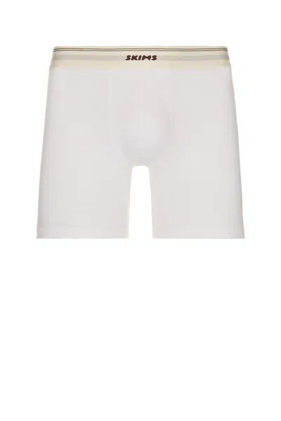 Skims Classic Cotton Rib 5 Boxer Brief In Gray