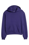 Skims Cotton Blend Fleece Classic Pullover Hoodie In Concord