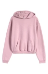 Skims Cotton Blend Fleece Classic Pullover Hoodie In Dusk