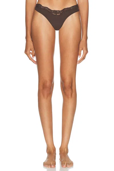 Skims Fits Everybody Lace Dip Thong In Espresso