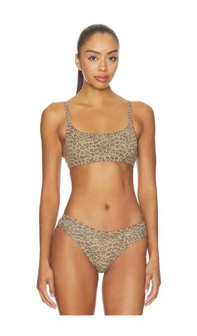 Skims Fits Everybody Scoop Bralette In Animal Print