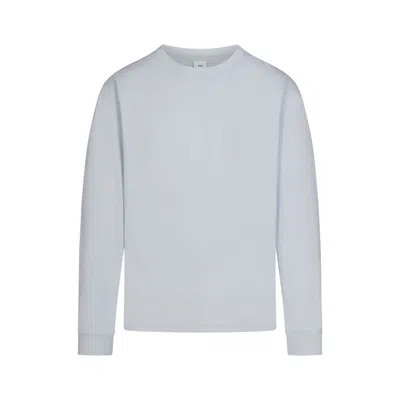 Skims Heavyweight Cotton In Gray