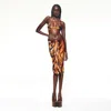 Skims Roberto Cavalli X  In Animal Print