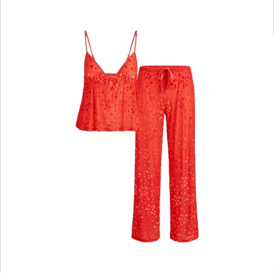 Skims Sheer Velvet In Ruby