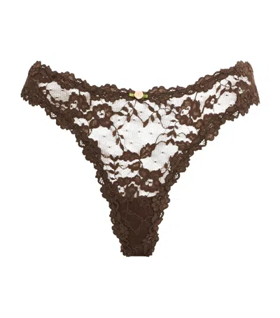 Skims Stretch Lace Dipped Thong In Brown