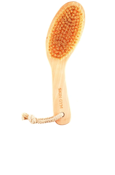 Skin Gym Body Brush In N,a