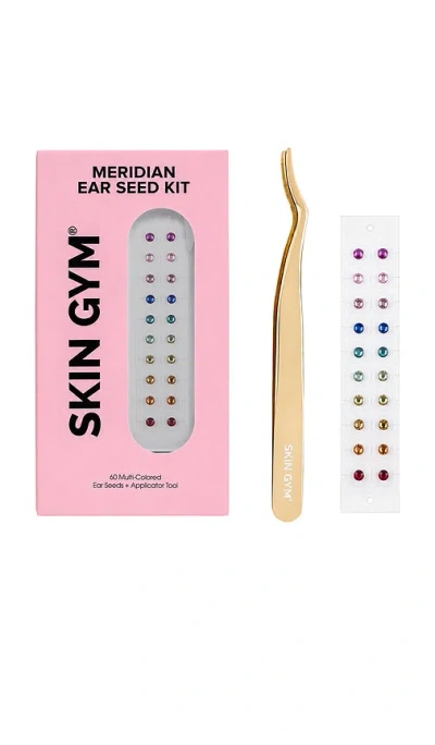 Skin Gym Meridian Ear Seed Kit In Beauty: Multi