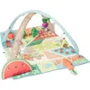 Skip Hop Farmstand Grow & Play Activity Gym In Multi