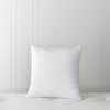 Sky Embroidery Overlay Decorative Pillow - Exclusive