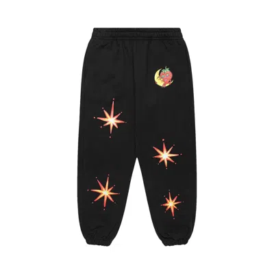 Pre-owned Sky High Farm Workwear Ally Bo Perennials Printed Sweatpants 'black' | Men's Size L