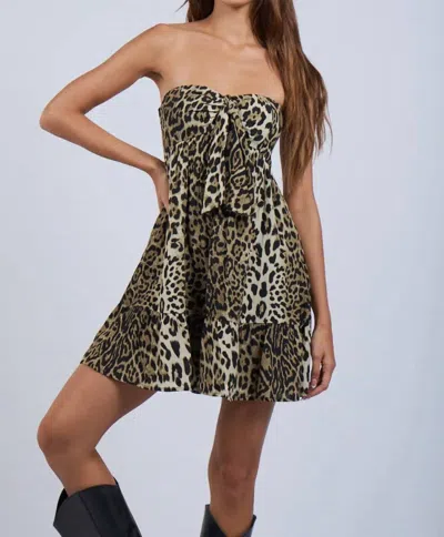 Sky To Moon Wild Ways Dress In Leopard