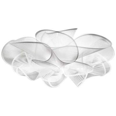Pre-owned Slamp La Belle Etoile Ceiling/wall By Adriano Rachele In Transparent