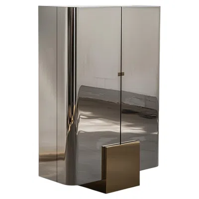 Pre-owned Slash Objects X Armoire In Polished Stainless Steel And Brass By  In Gray