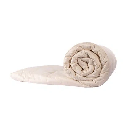 Sleep & Beyond Mymerino Organic Merino Wool Summer Lightweight Comforter In Ivory