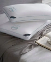 Sleep Climate Temperature Balancing Pillows Featuring 37.5 Technology In White