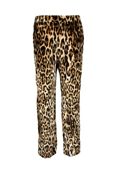 Sleep No More Leopard Print Cropped Trousers In Burgundy