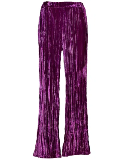 Sleep No More Trousers In Purple