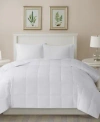Sleep Philosophy Warmer White 300 Thread Count Cotton Comforter In White