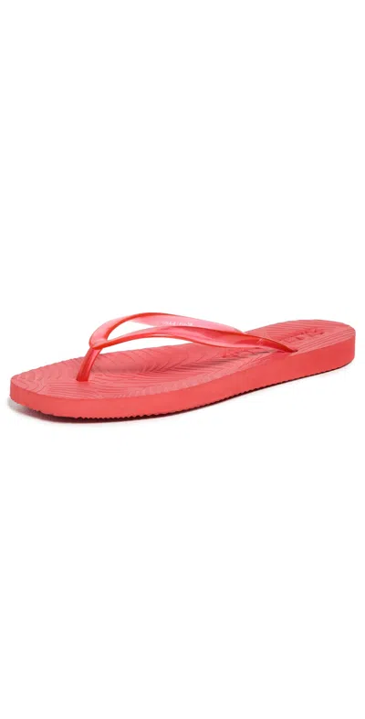 Sleepers Tapered Transparent Flip Flops Red Transparent In Multi
