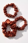 Slip Back To Basics Assorted Scrunchie Set In Brown