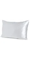 Slip Pure Silk Queen Pillowcase Silver In Silver