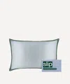 Slip Queen Silk Pillowcase In Blue