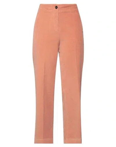 Slowear Incotex Woman Pants Antique Rose Size 6 Cotton, Elastane In Pink
