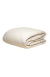 Slumber Cloud All-season Ultracool Comforter In Sand