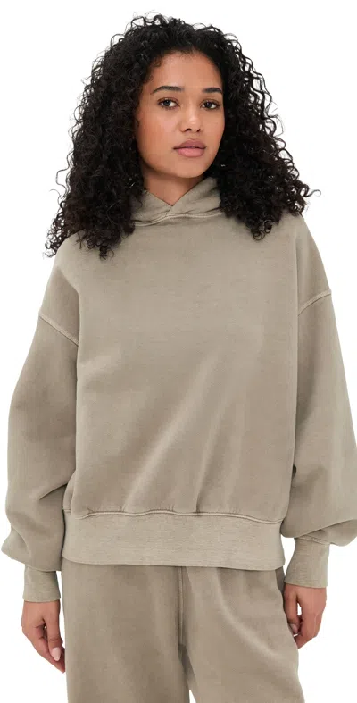 Slvrlake Cinch Cotton-jersey Hoodie In Brown