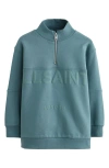Smallsaints By Allsaints Kids' Biggy Quarter Zip Sweatshirt In Blue