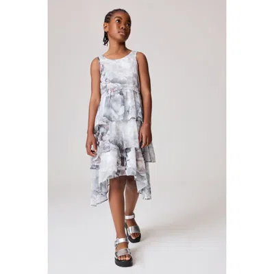 Smallsaints By Allsaints Kids' Floral Print Ruffle Dress In Grey