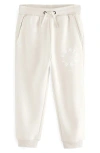 Smallsaints By Allsaints Kids Tierra Joggers In Gray