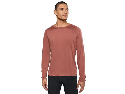 Smartwool Active Ultralite Long Sleeve In Multi