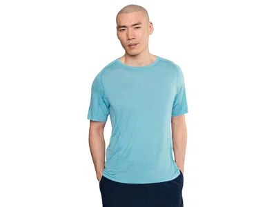 Smartwool Active Ultralite Short Sleeve In Multi