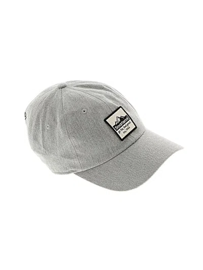Pre-owned Smartwool Baseball Cap In Gray