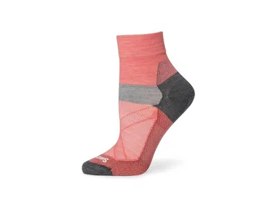 Smartwool Bike Zero Cushion Ankle Socks Women's Crew Cut Socks Shoes Wild Salmon: Md (women's Shoe 7-9.5) In Pink