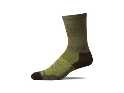 Smartwool Bike Zero Cushion Crew Socks Men's No Show Socks Shoes Winter Moss: Md (men's Shoe 6-8.5) In Green