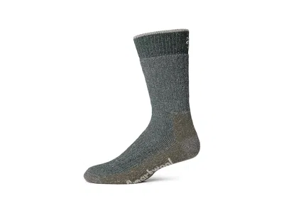 Smartwool Hike Classic Edition Extra Cushion Second Cut Crew Socks Crew Cut Socks Shoes Dark Sage: Xl (us Men' In Gray