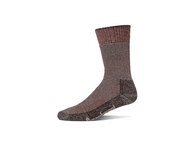 Smartwool Hike Classic Edition Extra Cushion Second Cut Crew Socks Crew Cut Socks Shoes Picante: Lg (us Men's  In Brown