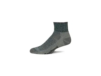 Smartwool Hike Classic Edition Light Cushion 2nd Cut Ankle Socks Crew Cut Socks Shoes Dark Sage: Md (us Men's  In Multi