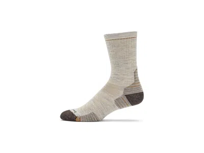 Smartwool Hike Targeted Cushion Mid Crew Socks Men's Crew Cut Socks Shoes Ash: Xl (men's Shoe 12-14.5) In Multi