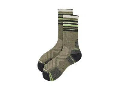 Smartwool Hike Targeted Cushion Striped Crew Socks Men's Crew Cut Socks Shoes Winter Moss: Xl (men's Shoe 12-1