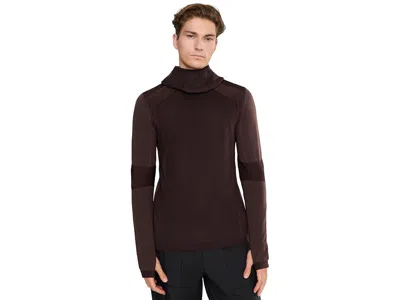 Smartwool Intraknit Thermal Merino Base Layer Hoodie Men's Workout Dark Mink/burnt Sienna: Lg, Elastane/polyam